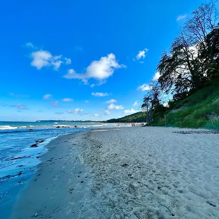 Haus Waldidyll, Vergissmeinnicht * Sellin