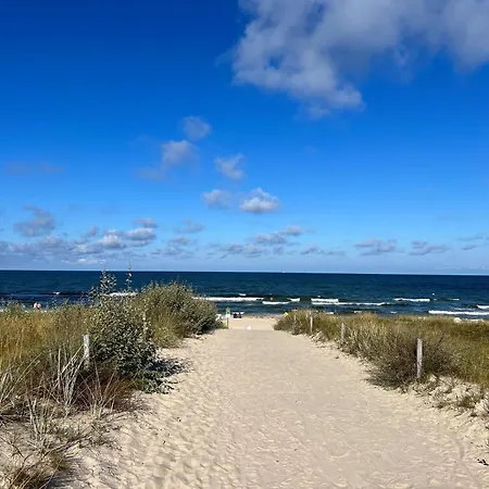 Haus Waldidyll, Vergissmeinnicht * Sellin